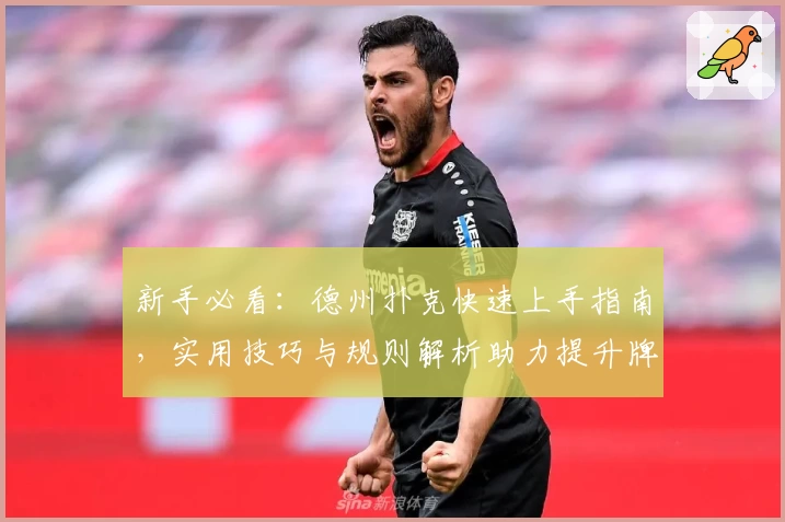 新手必看:德州扑克快速上手指南,实用技巧与规则解析助力提升牌技