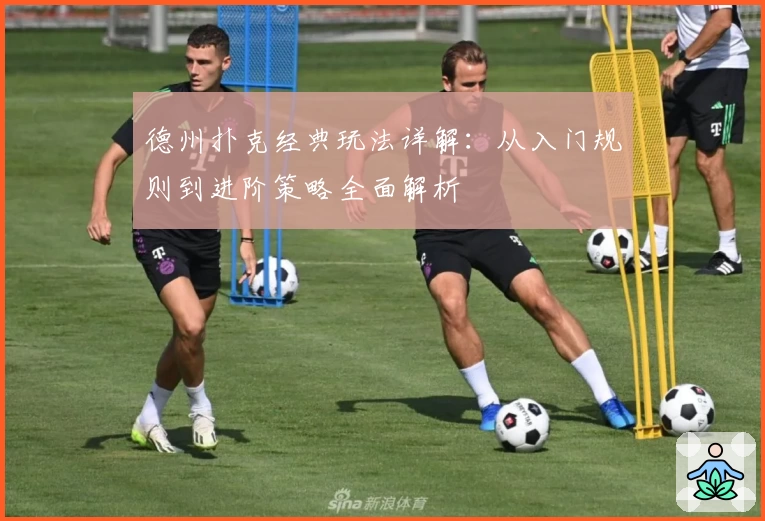 德州扑克经典玩法详解：从入门规则到进阶策略全面解析