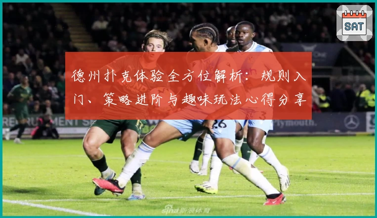 德州扑克体验全方位解析：规则入门、策略进阶与趣味玩法心得分享