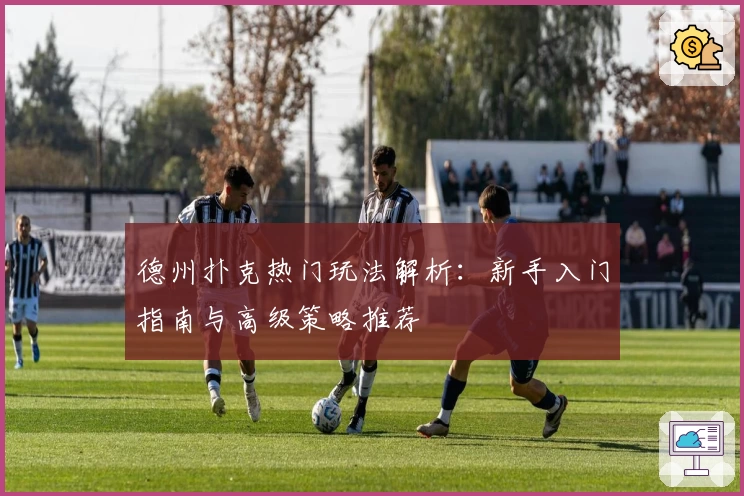 德州扑克热门玩法解析：新手入门指南与高级策略推荐