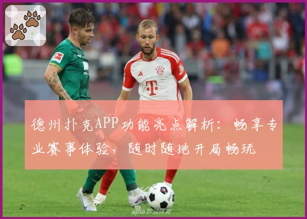 德州扑克APP功能亮点解析：畅享专业赛事体验，随时随地开局畅玩