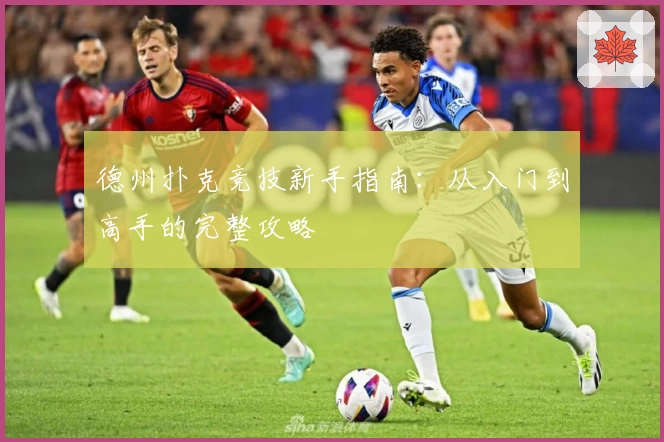 德州扑克竞技新手指南:从入门到高手的完整攻略