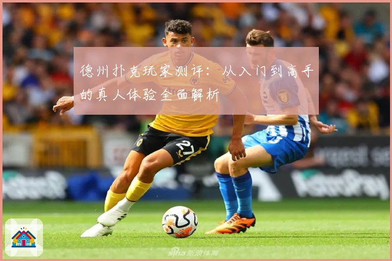 德州扑克玩家测评：从入门到高手的真人体验全面解析